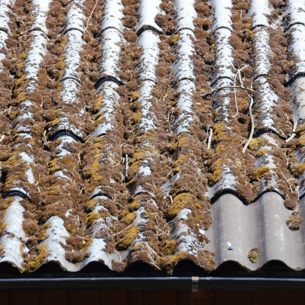 signes usure toiture Givry