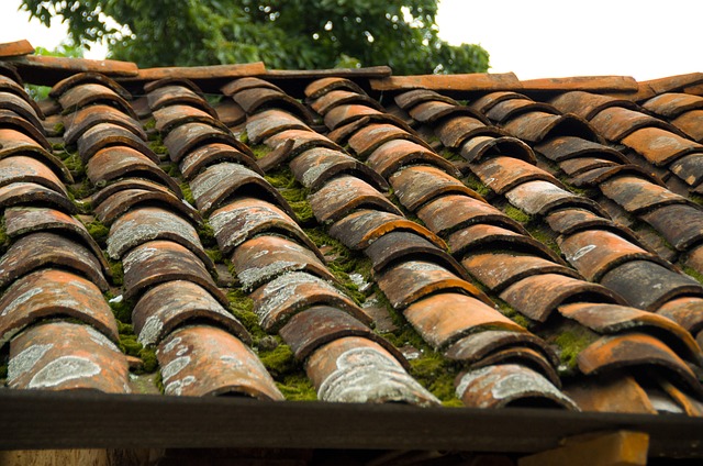 démoussage toiture Givry